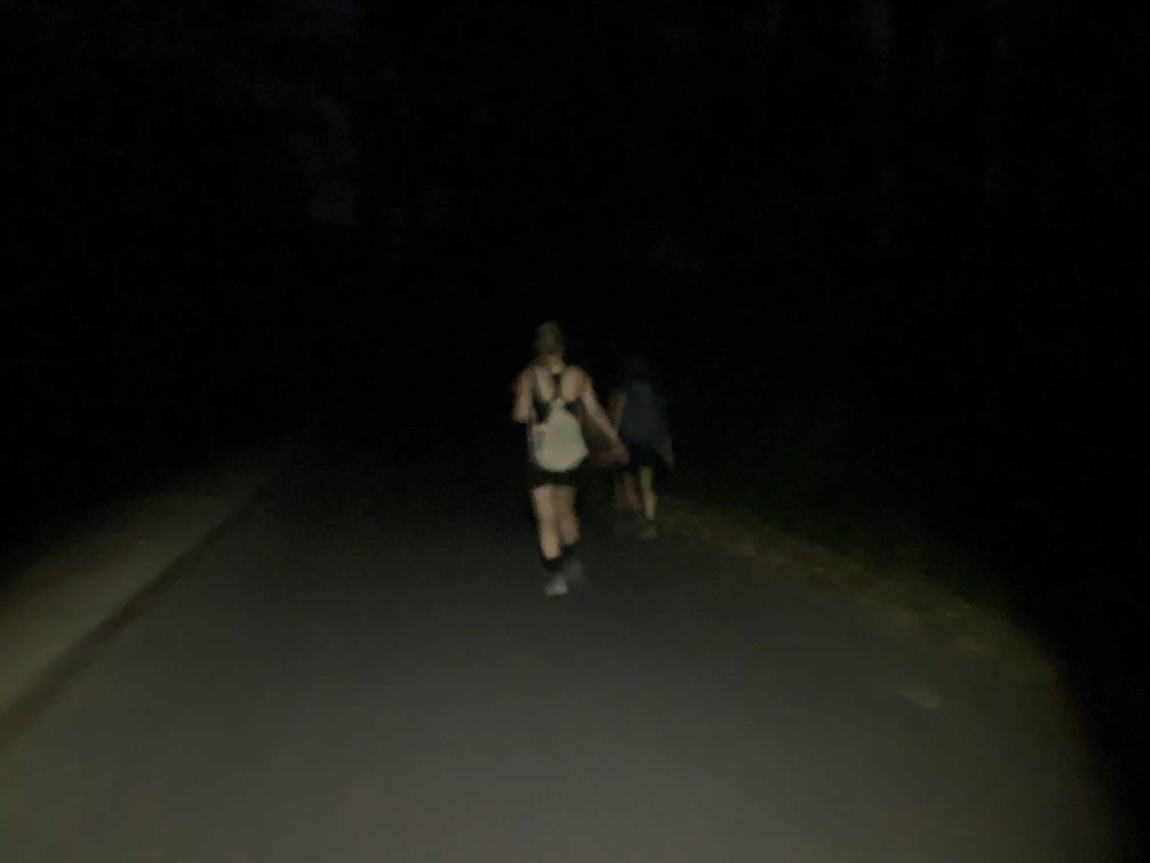 A dark picture of the camino